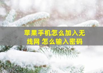 苹果手机怎么加入无线网 怎么输入密码